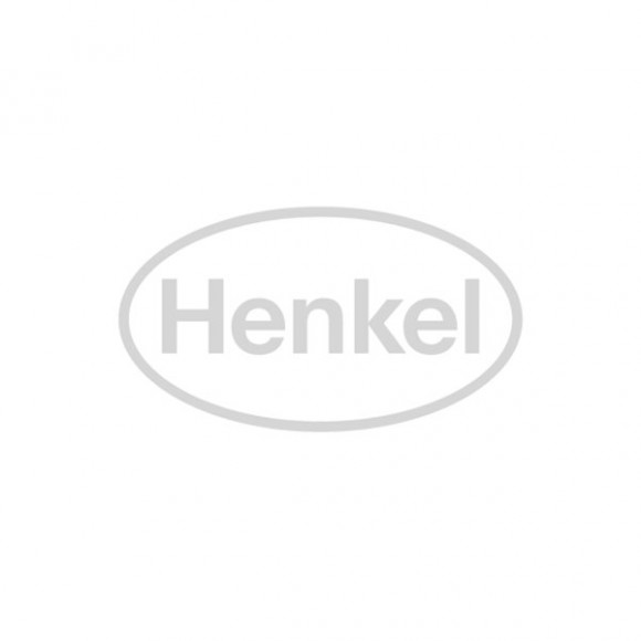 henkel_productos_griss1